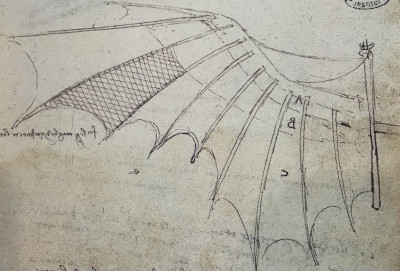 Studies of Wing Articulation 1487-1490 Leonardo da Vinci